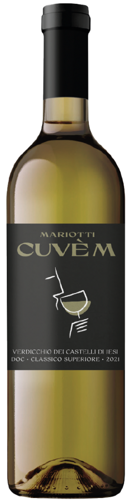 Verdicchio: 3 vini d’autore per la tua estate