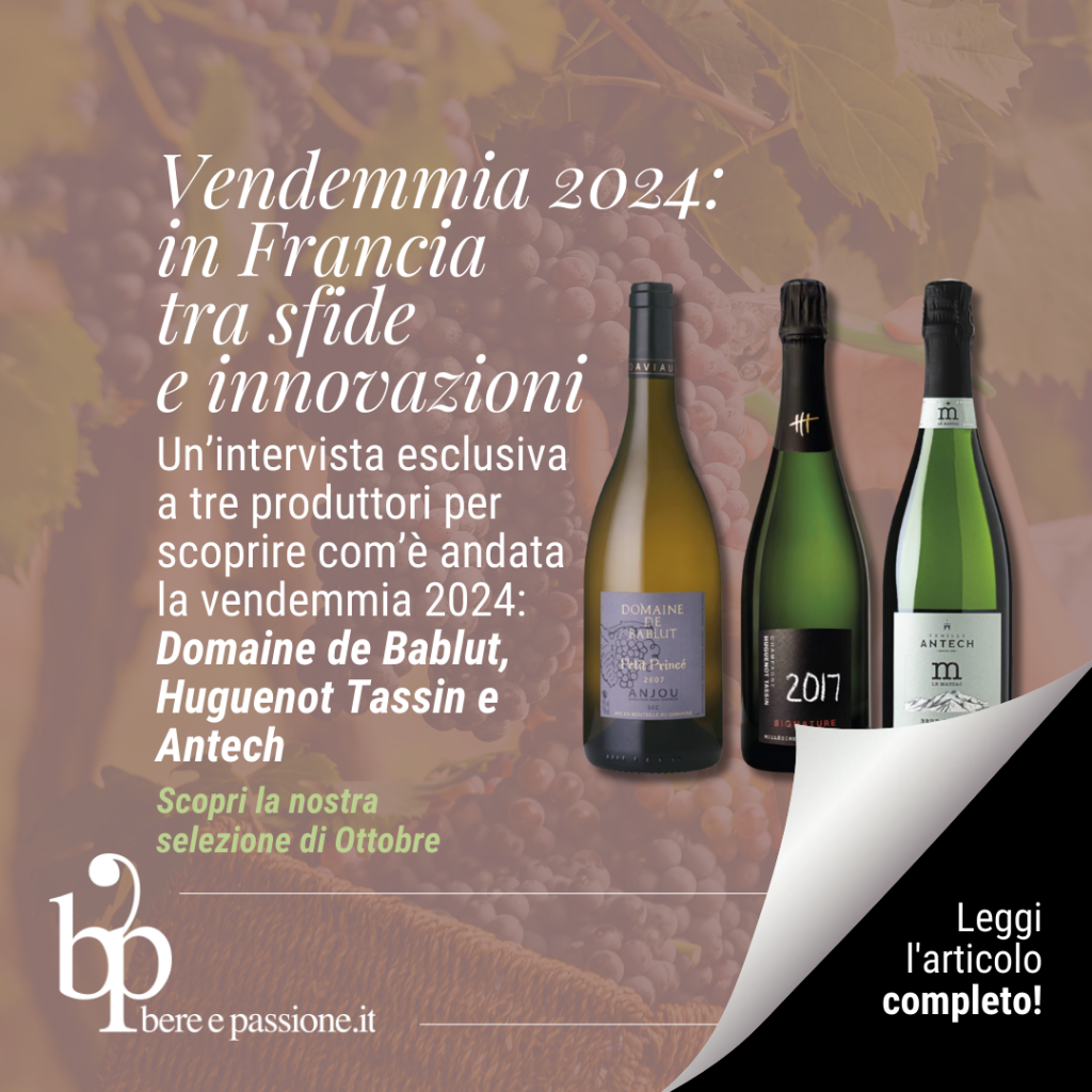 Vendemmia 2024: sfide e innovazioni per i vigneti di Francia
