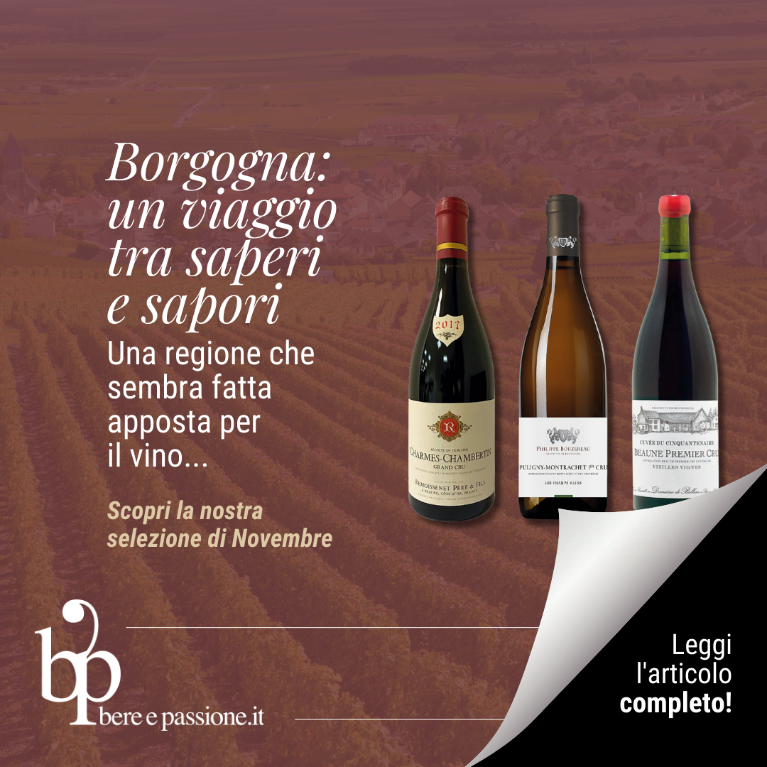 Vini della Borgogna: un viaggio tra i saperi e i sapori