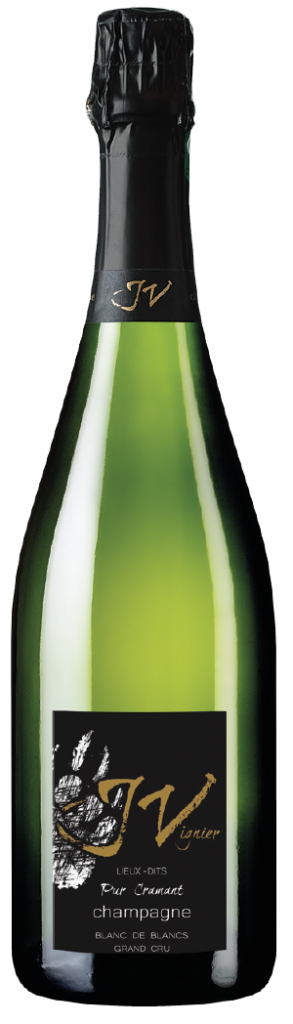 Champagne: il Re dei Vini e delle Feste
