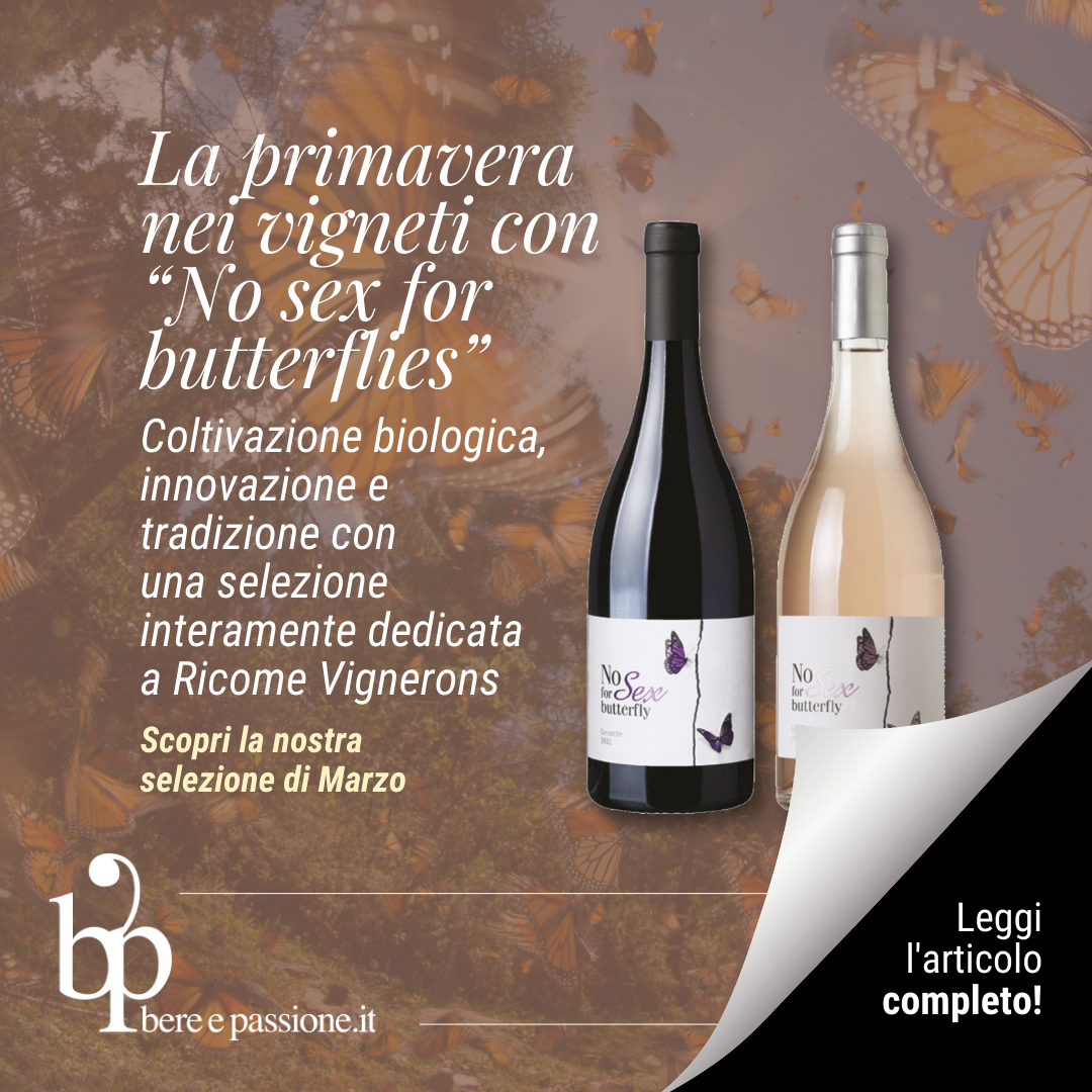 Coltivazione biologica-la primavera nei vigneti_No-sex-for-butterfly