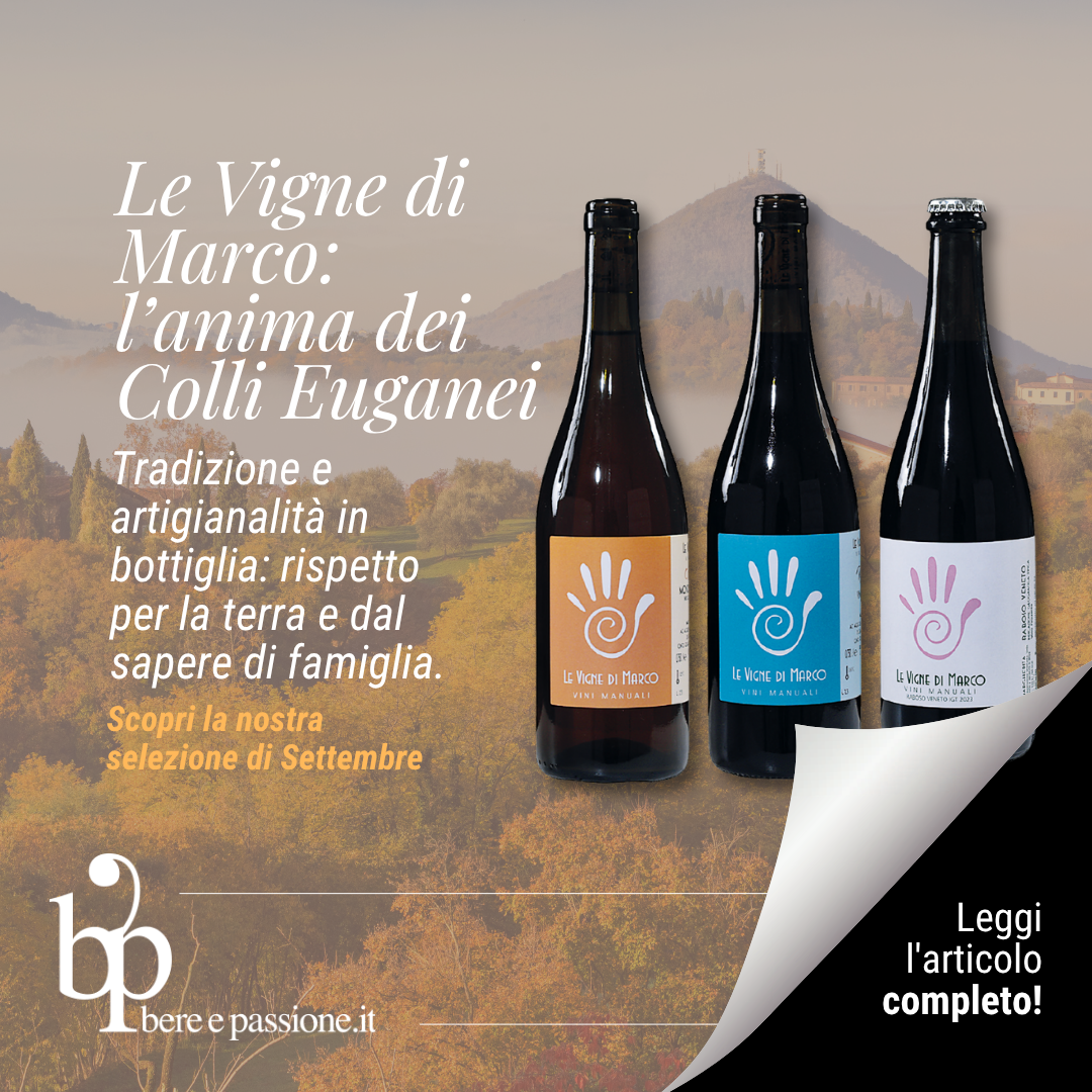 Le Vigne di Marco: l’anima dei Colli Euganei