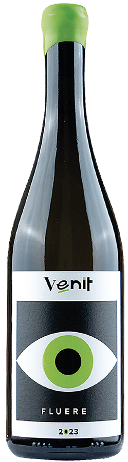 Venit: due territori, una visione...