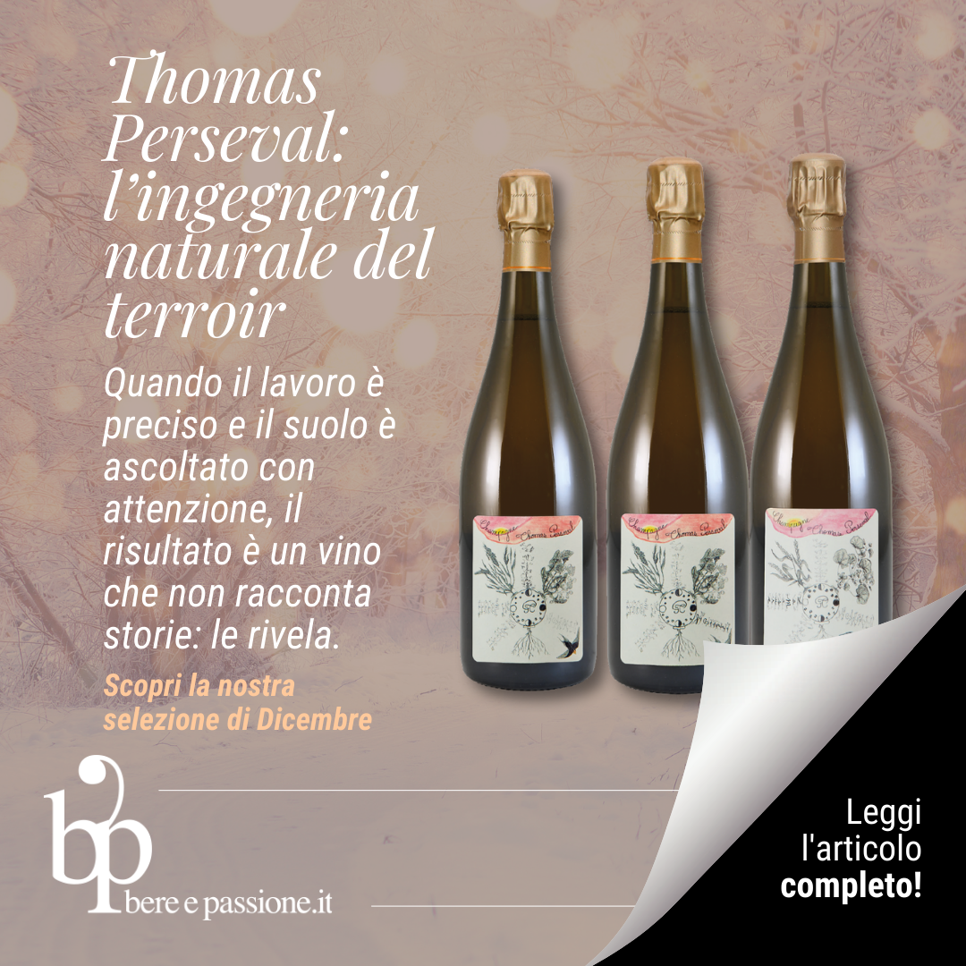 Thomas Perseval: l’ingegneria naturale del terroir