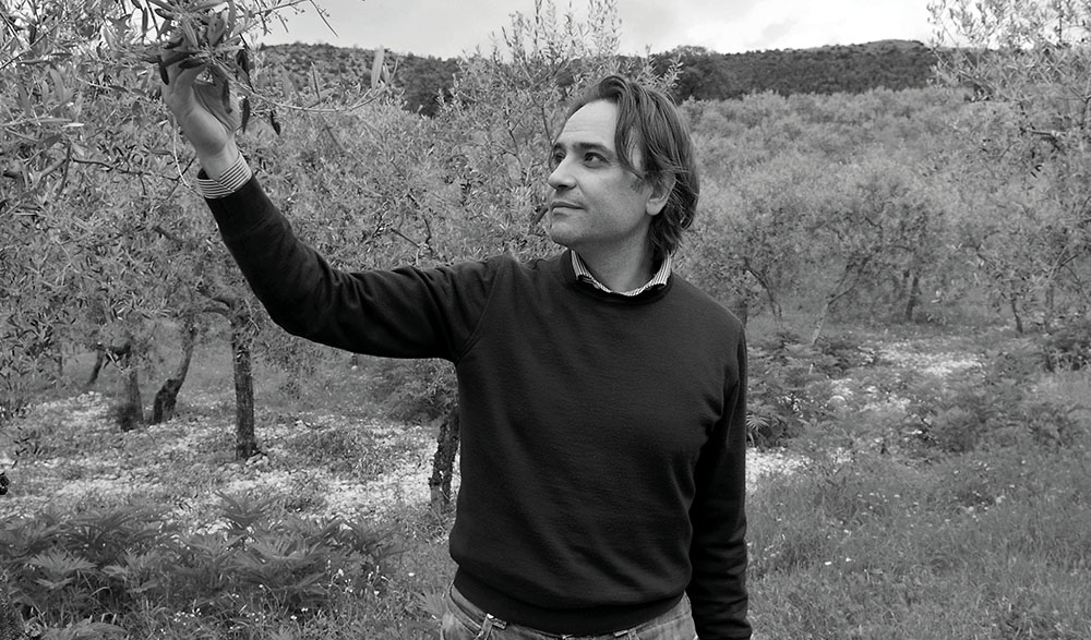 Azienda Agricola Viola