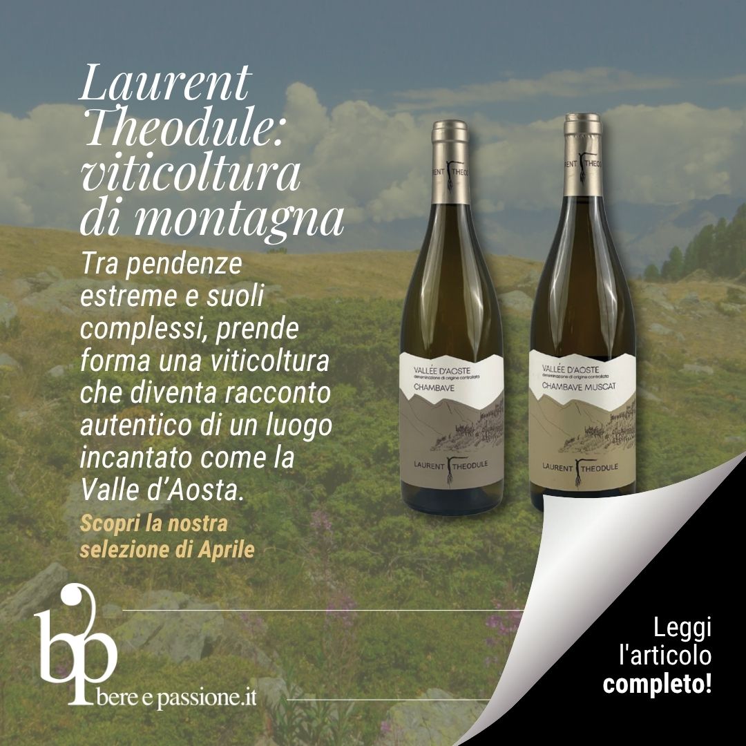Laurent Theodule: viticoltura di montagna e identità territoriale