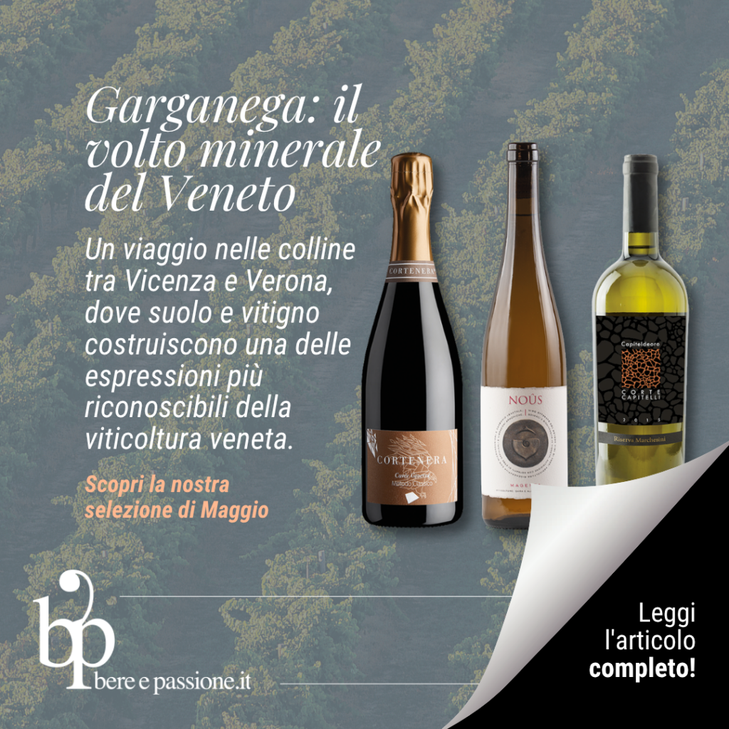 Garganega e suoli vulcanici: il volto minerale del Veneto tra Verona e Vicenza
