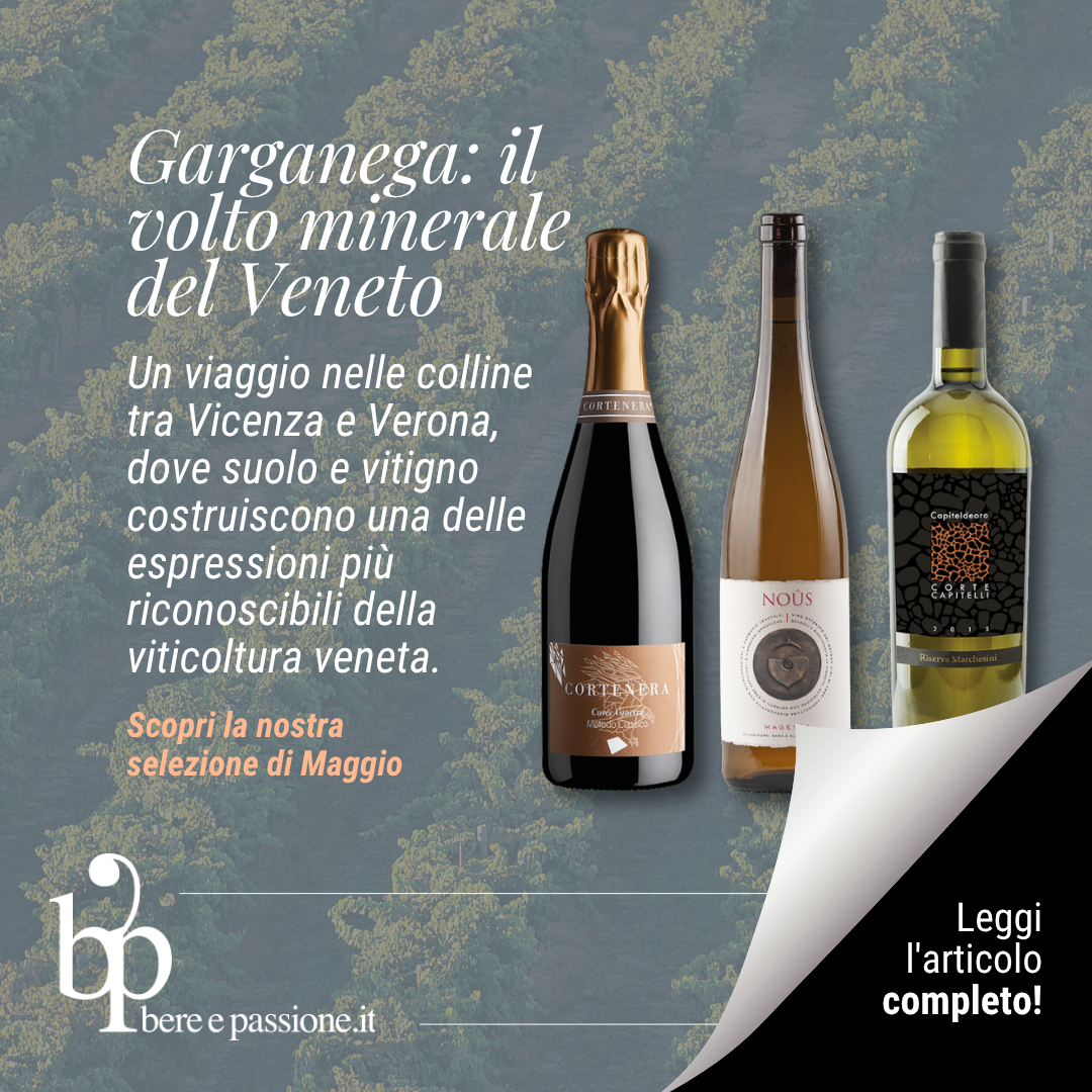 Garganega e suoli vulcanici: il volto minerale del Veneto tra Verona e Vicenza
