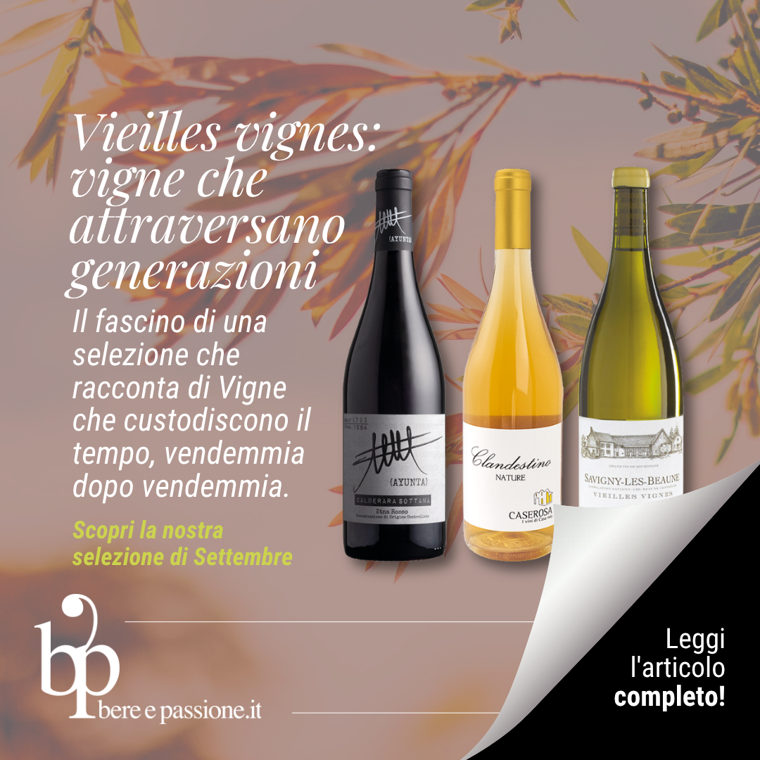 Vieilles vignes: vigne che attraversano generazioni